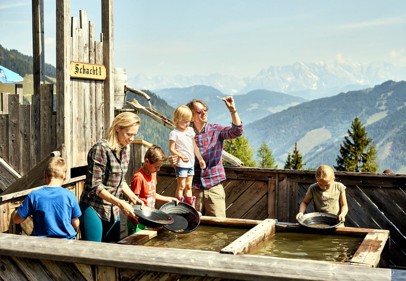 Apartment in Rauris - Modern Mountain Apart 6 - directly by Skiing area