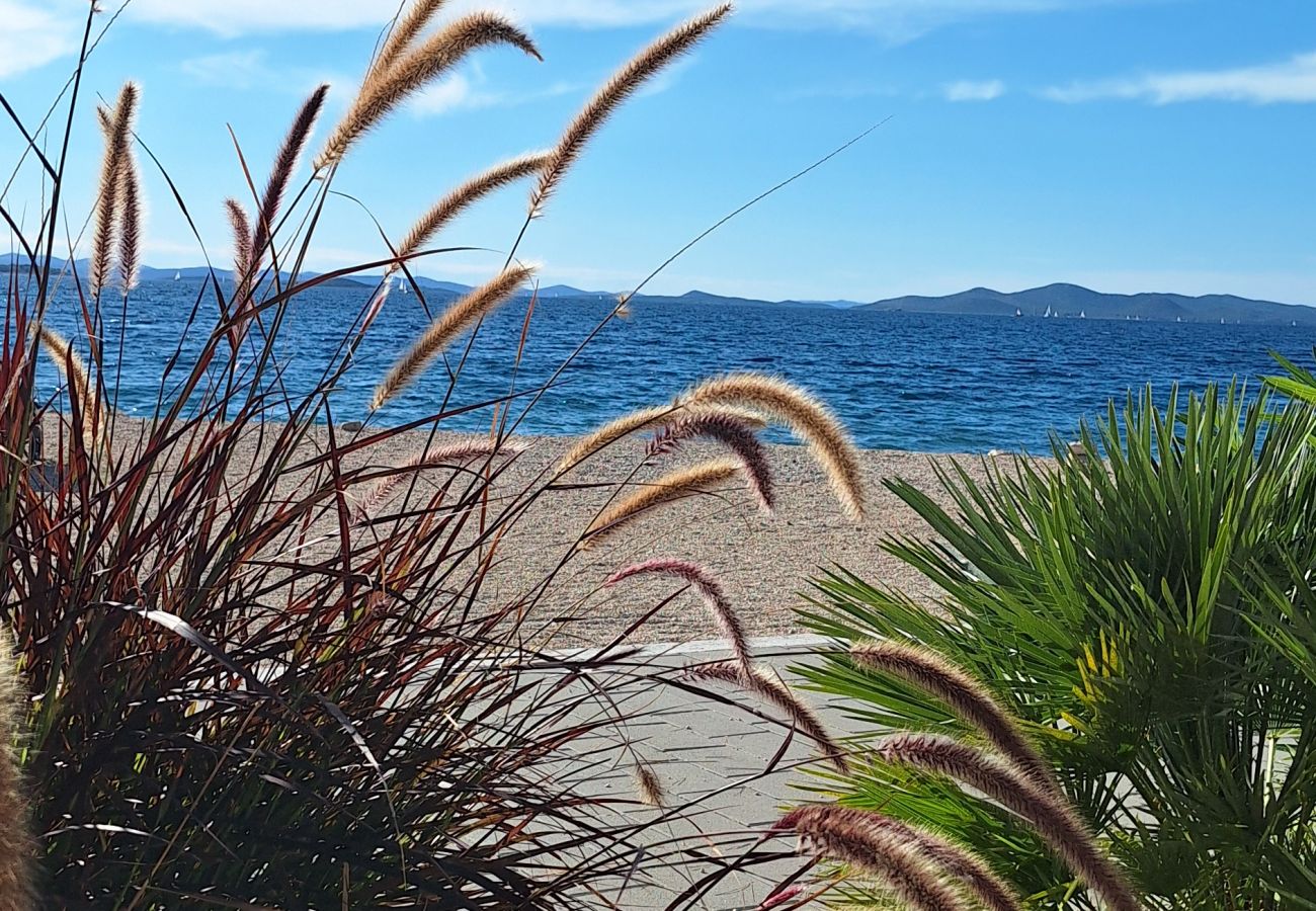 Bungalow/ verbunden mit der Villa in Drage - Buqez Eco Resort - Villa 26 - Erste Meereslinie